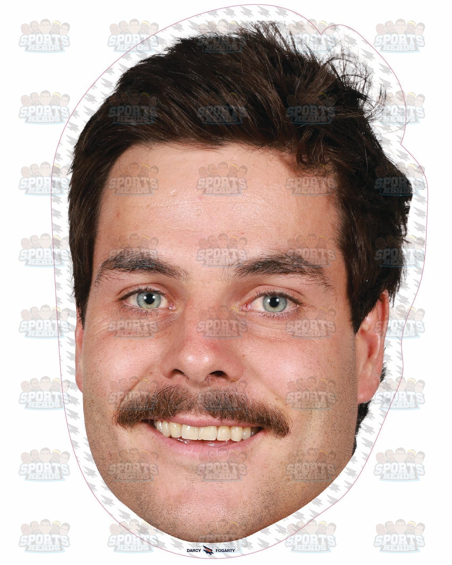 Darcy Fogarty