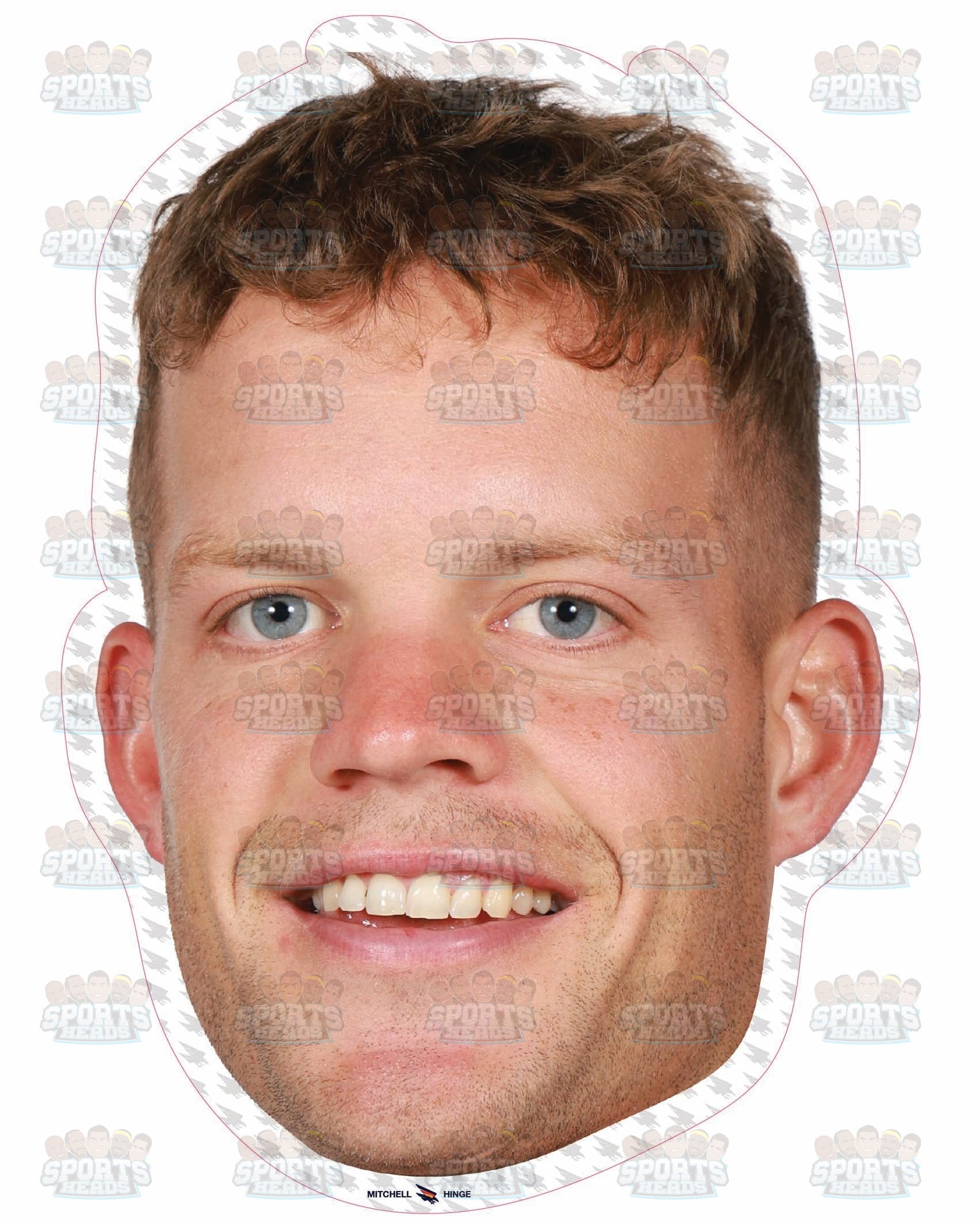 Mitchell Hinge