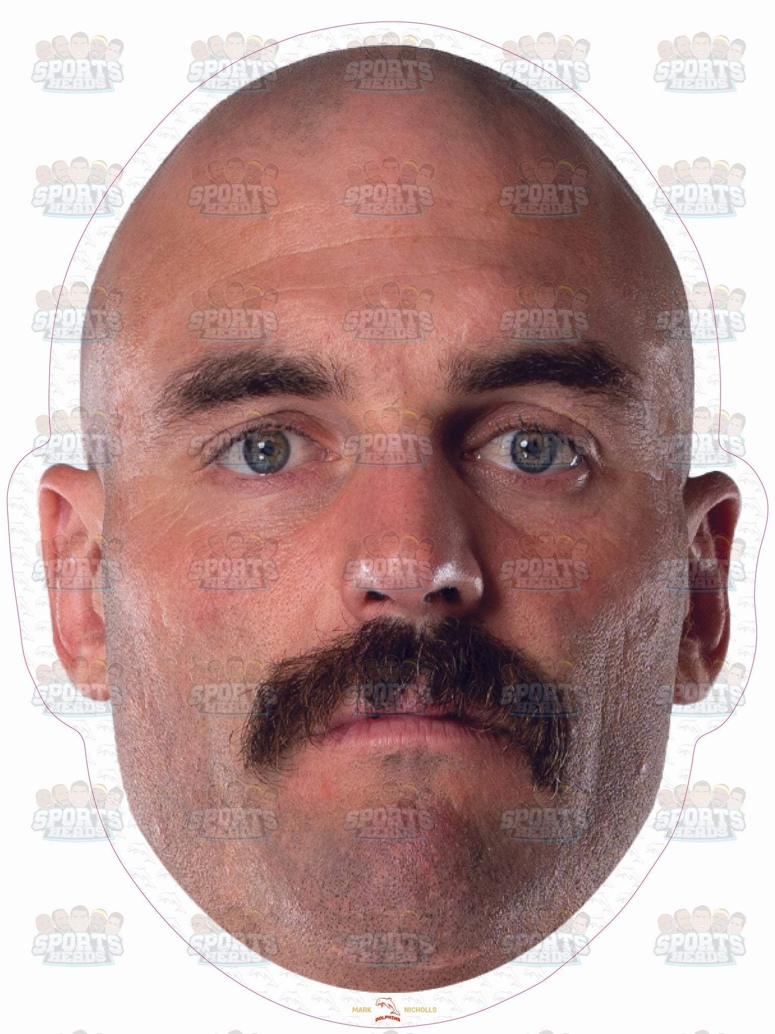 Mark Nicholls