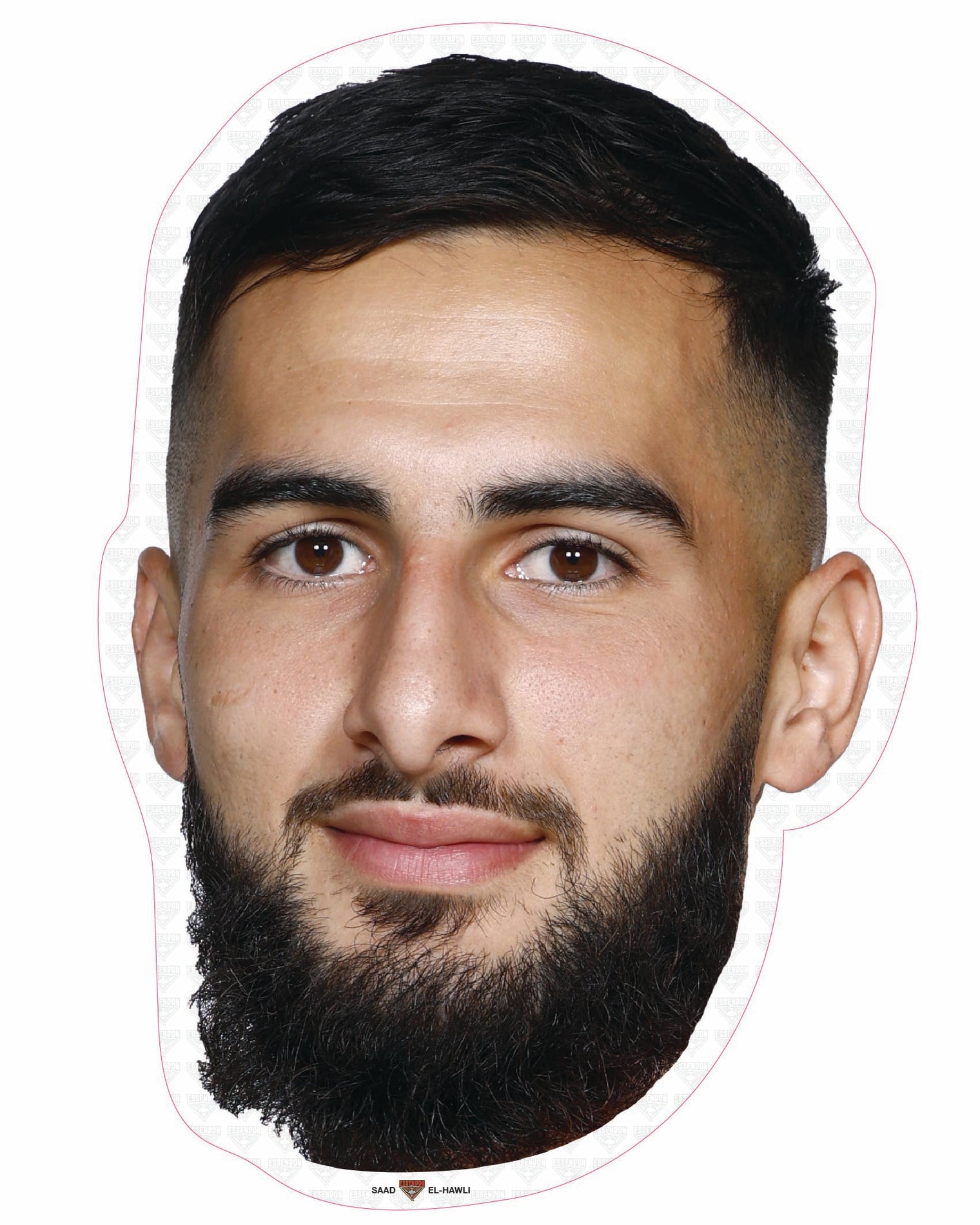 Saad El-Hawli