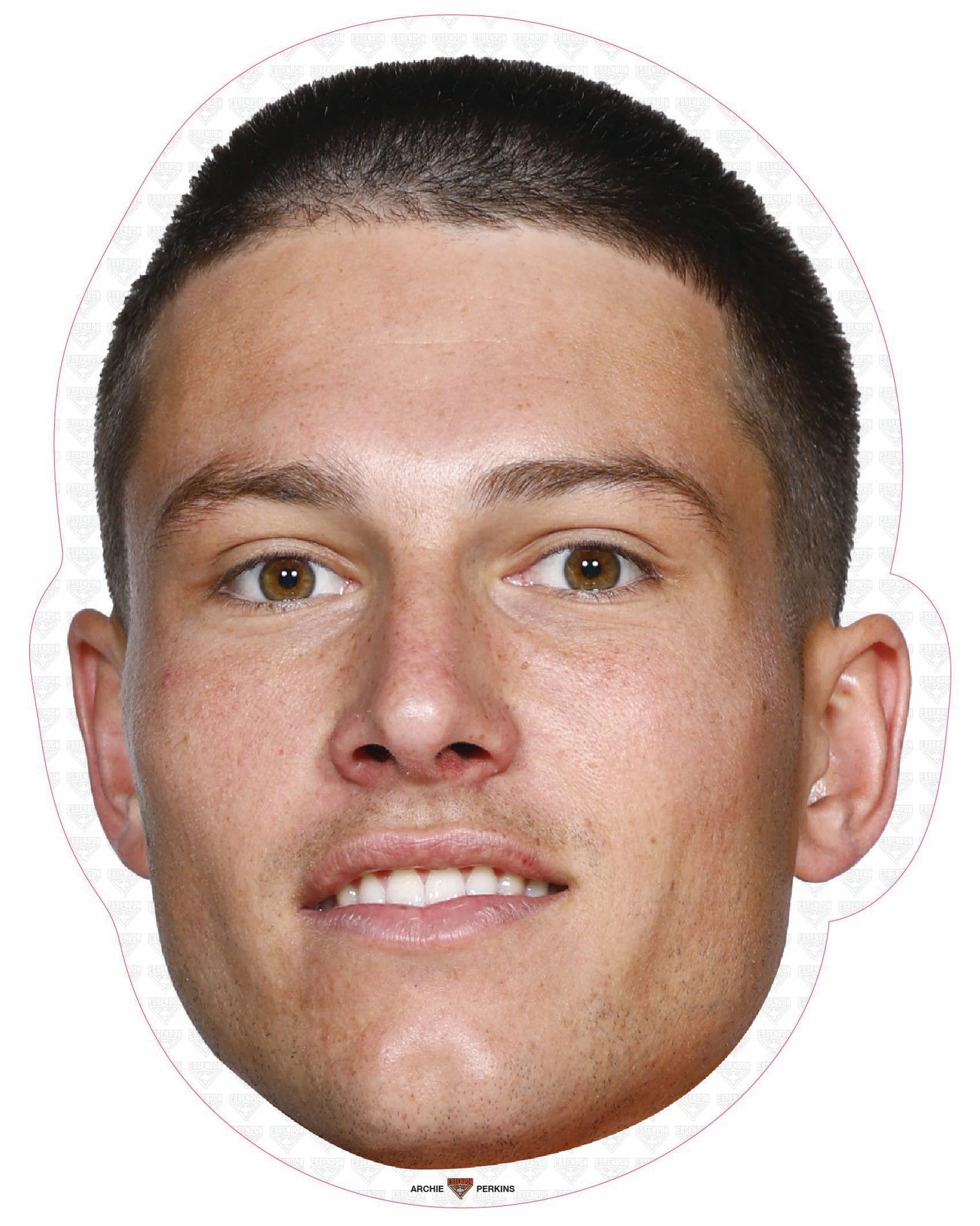 Archie Perkins