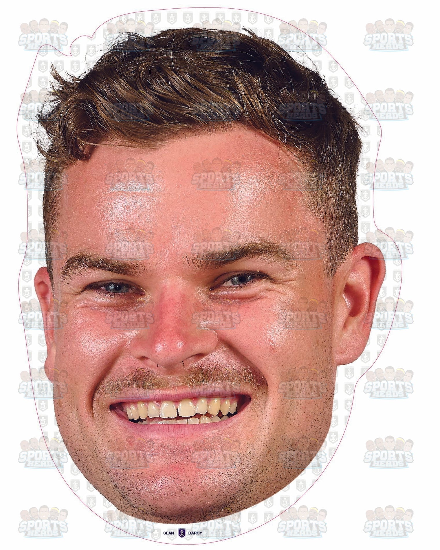 Sean Darcy