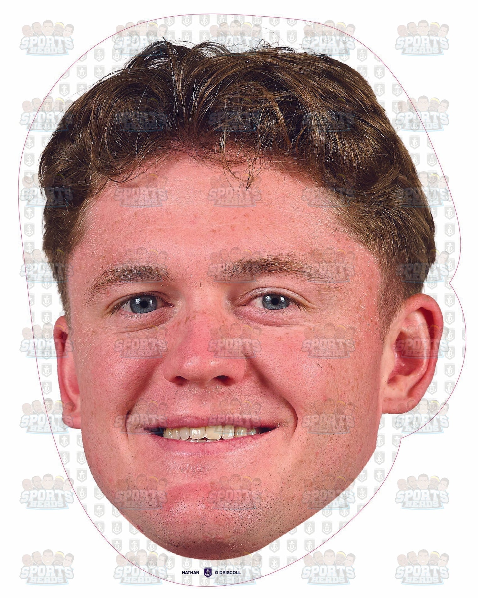 Nathan O'Driscoll