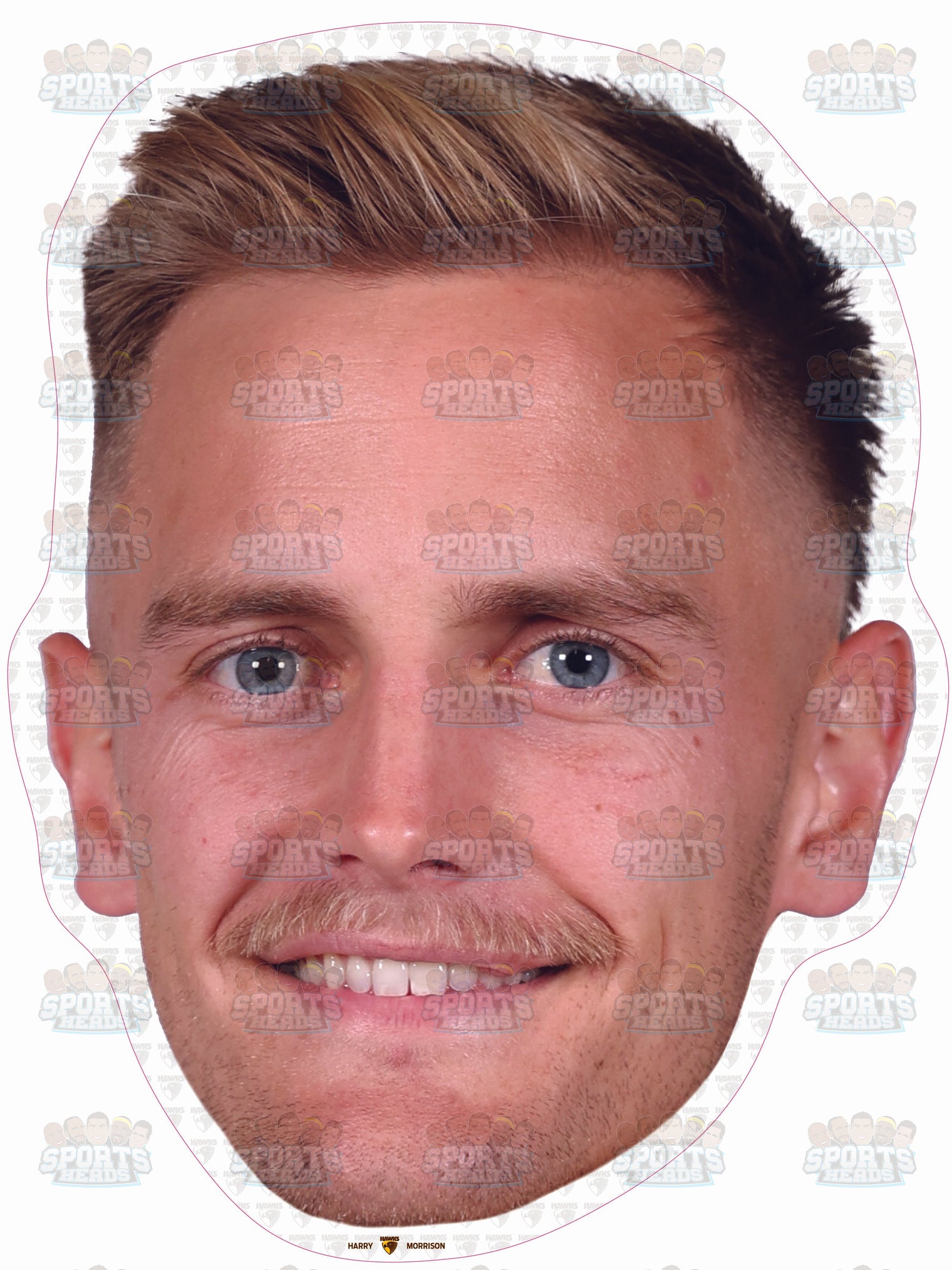 Harry Morrison