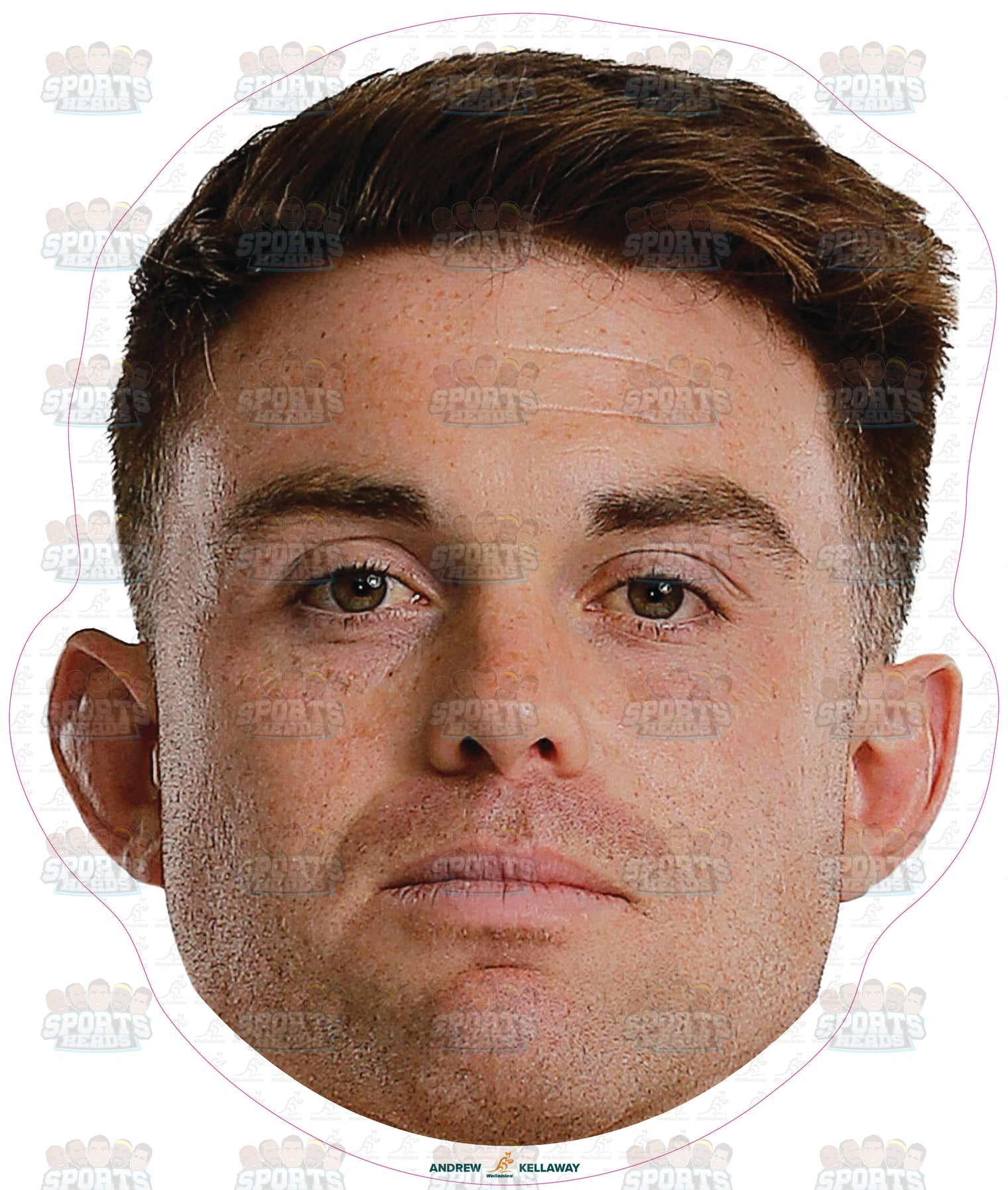 Andrew Kellaway