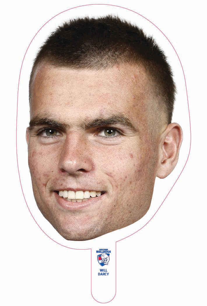 Will Darcy