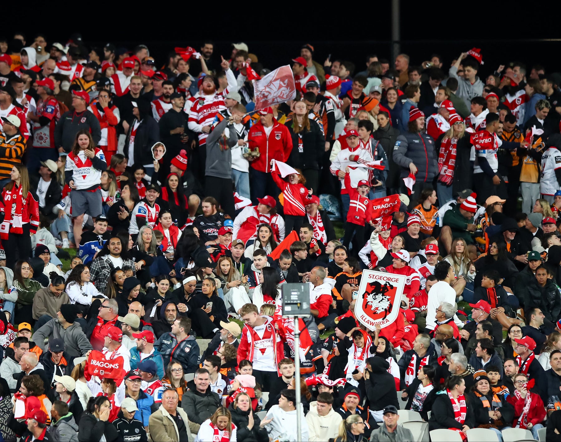 Supporters holding Sports Heads at a live game