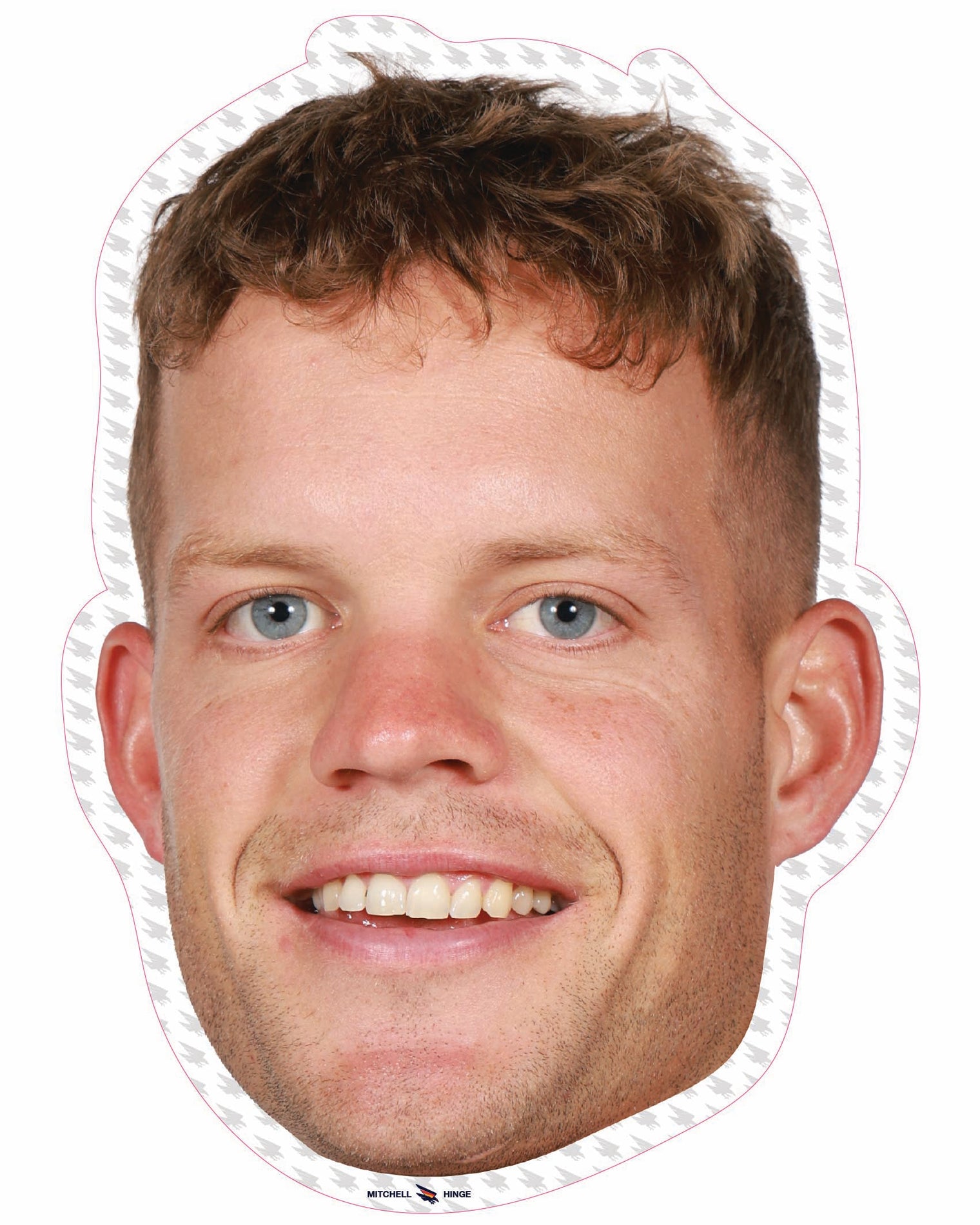 Mitchell Hinge