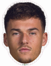 Ajdin Hrustic