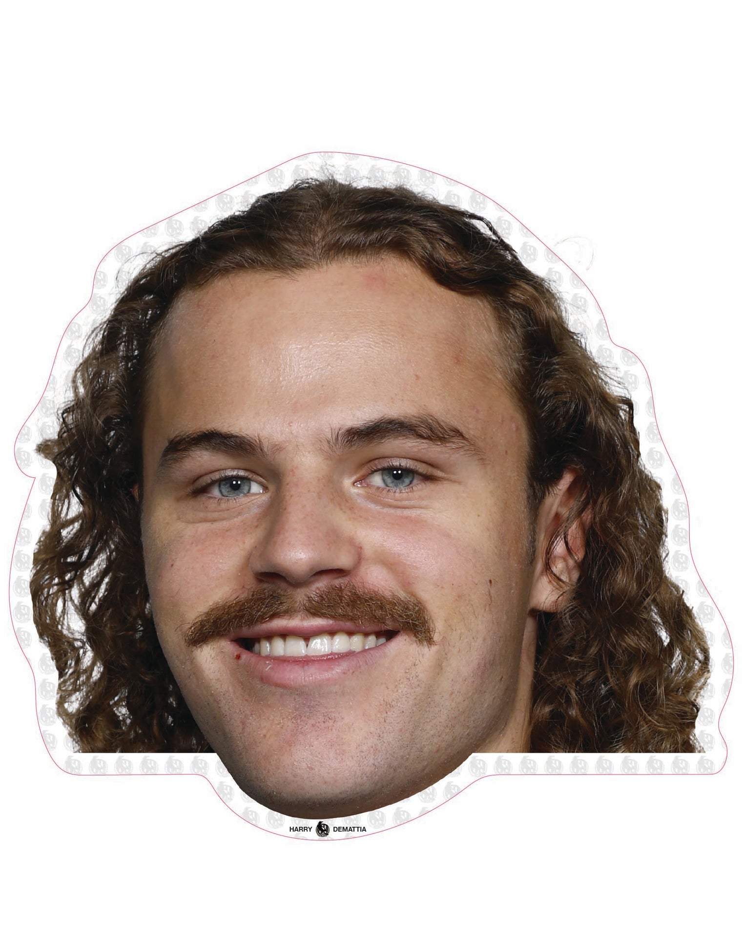 Harry Demattia