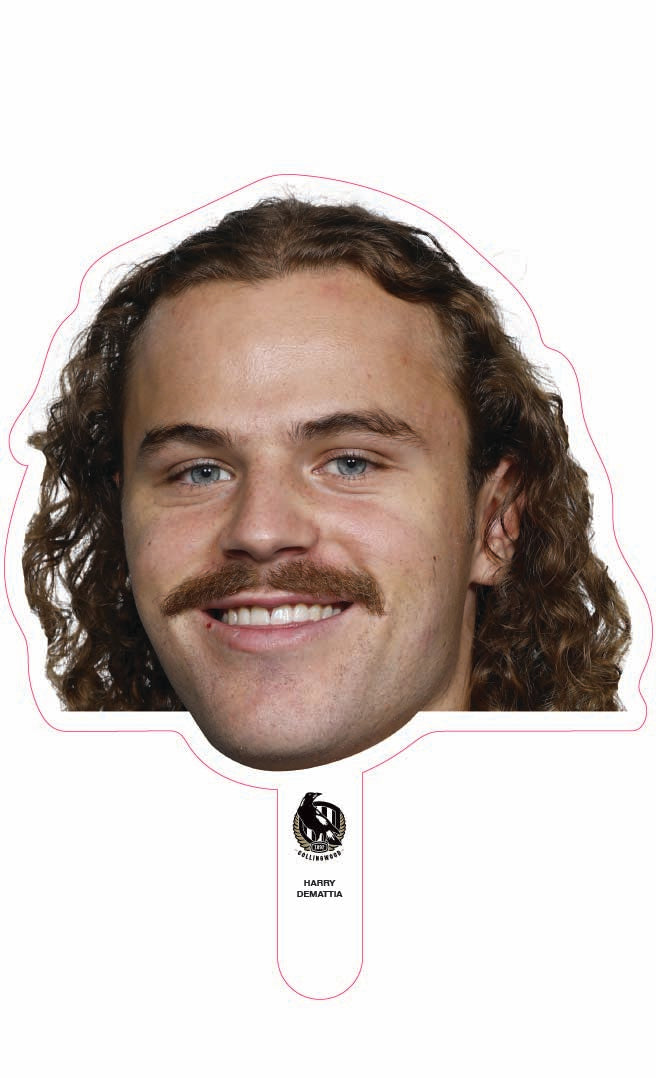 Harry Demattia