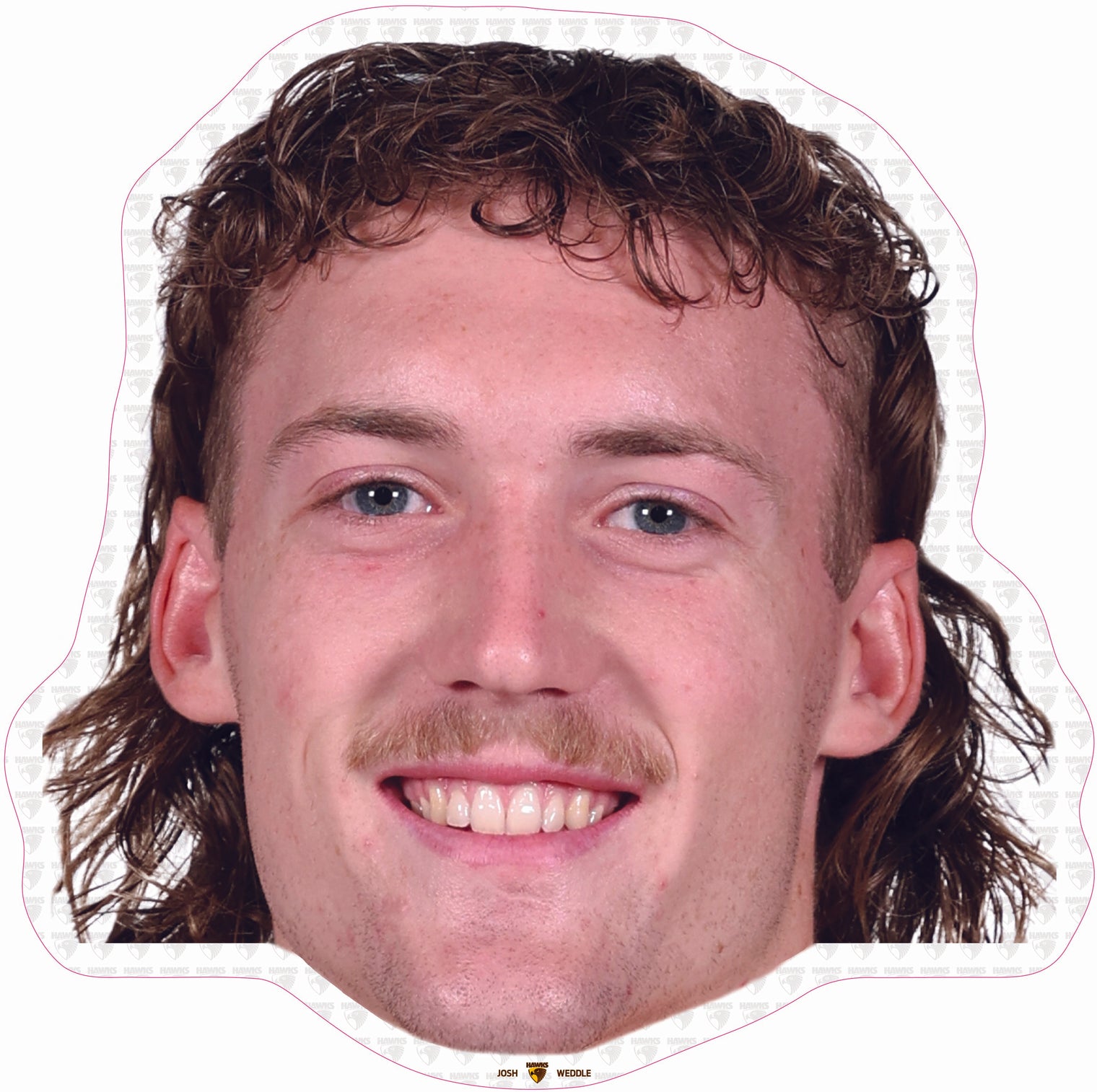 Josh Weddle