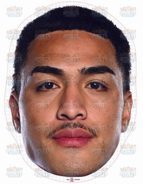 Lehi Hopoate Manly Warringah Sea Eagles Large clearance cut-out