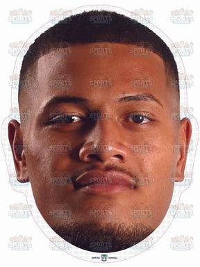 Demitric Vaimauga New Zealand Warriors Large clearance cut-out