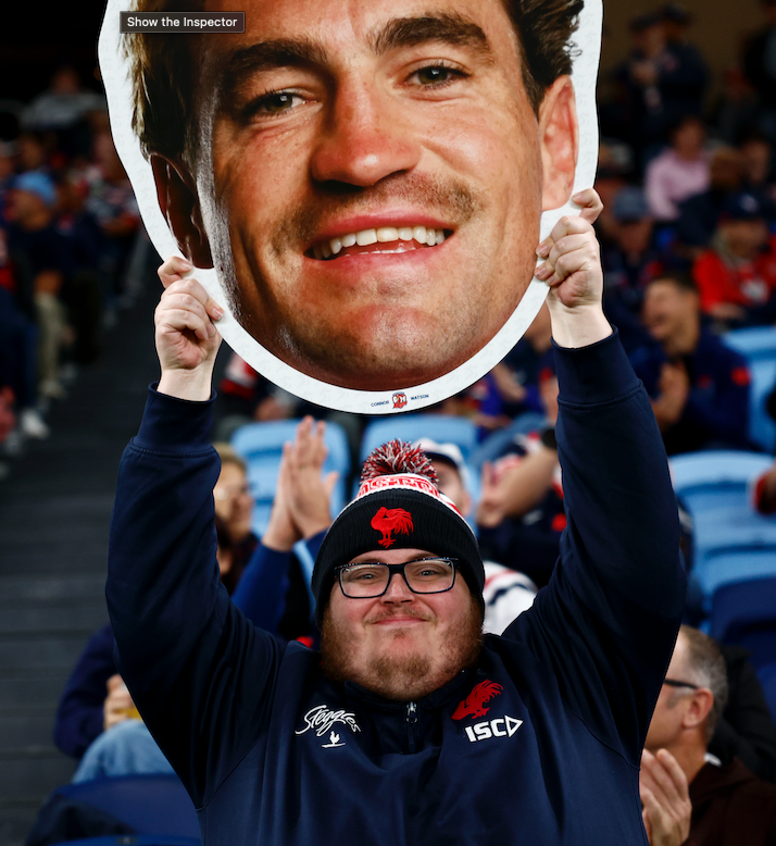 Fans celebrating with Sports Heads